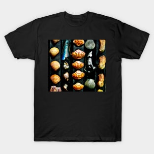 Gulf Coast Shells T-Shirt